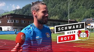 s4I9OaJXhLM Video Image