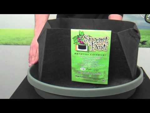 Large Plant Saucers For Large Pots Largest Smart Pot Saucers | What is the largest Saucer for pots? Buy Online Monstergardens Index Php...