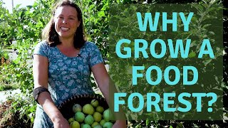 Why Grow A Food Forest?