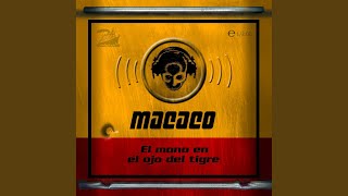 Watch Macaco Caigan Que Caigan video