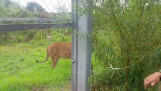 Southlake Safari Zoo