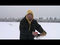 Fish Ed - Bigger Bluegill