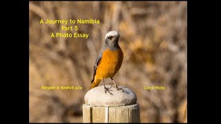 A Journey to Namibia - a photo essay - Part 5: The Central Area
