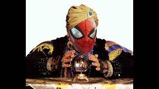 Can Spiders...