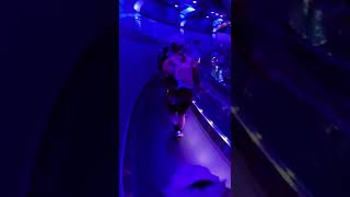 SO WE WALKED INTO GUARDIANS OF THE GALAXY COSMIC REWIND AND OUR MINDS WERE BLOWN!