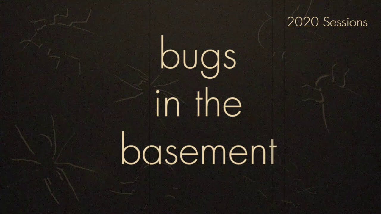 Bugs In The Basement - Schreckensteinia Festaliella aka The Blackberry Skeletonizer