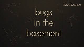 Bugs In The Basement - Schreckensteinia Festaliella aka The Blackberry Skeletonizer
