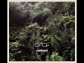 CFCF - Snake Charmer