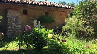 Les anges invitent à l'amitié extrait