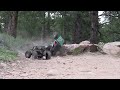 Wraiths at Flagstaff