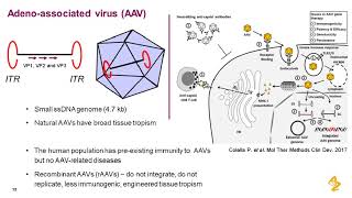 Capsid Re Quantification For Aav Based Theutics