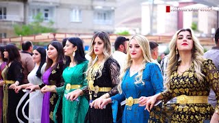 Şiyar Berwari -  Hakkari Jirki Aşireti Düğünü Tuğçe & Neçirvan [ 2022 ©  ] شيار 