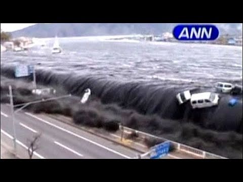 Tsunami videos cortos