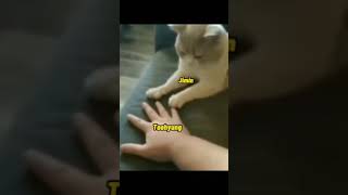 If Jimins Hand Is Cat Then Mine --