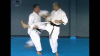 Yuval Abergil - Karate self defense - bunkai , part 1
