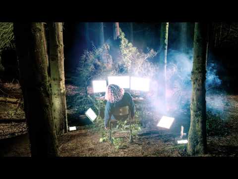Das Diktat Video
