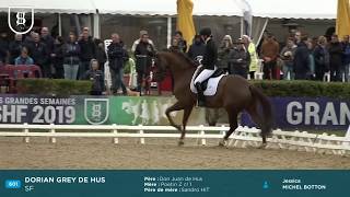 Saumur 2019 - DORIAN GREY DE HUS, Champion des 6 ans