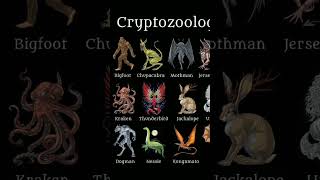 Types Of Cryptozoology Bigfoot