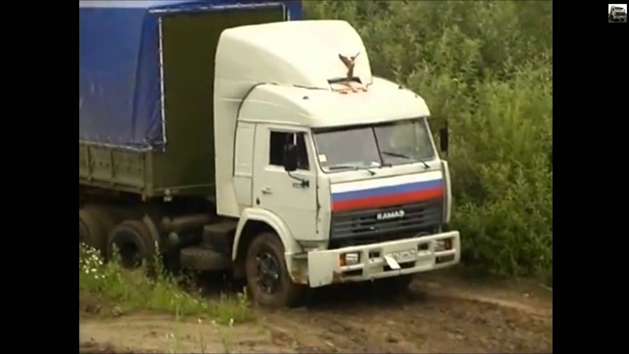 Личная жизнь Владислава Галкина картинки Личная жизнь Владислава Галкина картинки