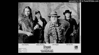 Watch Blues Traveler You Reach Me Live video