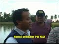 image Cara Meningkatkan Kualitas Panen Ikan Patin