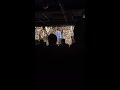Jeff Graham Comedy Show