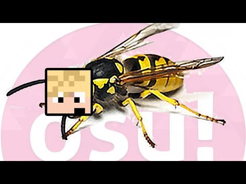 MOON HRÁ OSU! (VČELU)