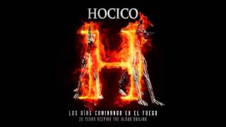 Watch Hocico Dissolve Me video