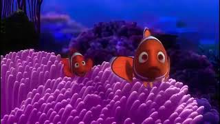 Finding Nemo Barracuda