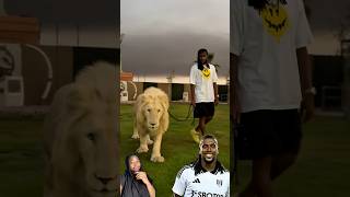 s8DoZSXC1JI Video Image