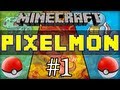 Haydz Plays Pixelmon Episode 1: Staryu To Strong!
