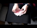 Truco de Magia Carta al número de Dani Daortiz