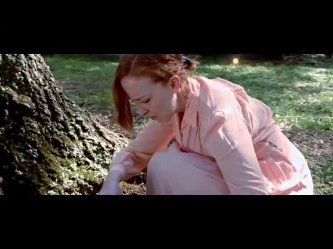 From The Nest Video