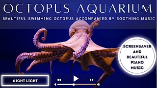 Graceful Octopus Aquarium Screensaver With Lovely Piano Music