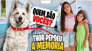 Thor Perdeu A Memória E Não Sabe Mais Quem É Lorena, Manu E Marlon