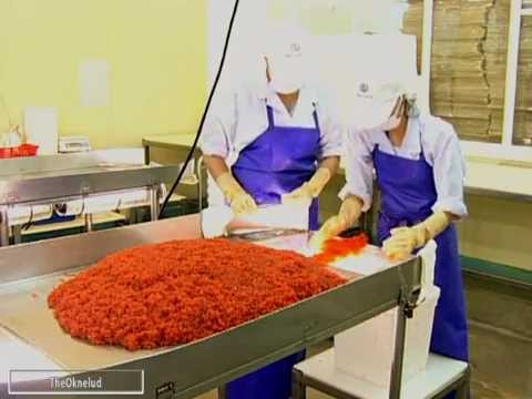 Куриные фермы в домашних условиях Куриные фермы в домашних условиях