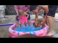 FUN CHALLENGE: Try NOT to laugh - Funny & cute dogs and kids