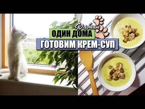 ОСТАВИЛИ КОТА | КРЕМ-СУП ИЗ БРОКОЛИ | ОСТОРОЖНО МИМИМИ #КОТОВЛОГ ОСТАВИЛИ КОТА | КРЕМ-СУП ИЗ БРОКОЛИ | ОСТОРОЖНО МИМИМИ #КОТОВЛОГ
