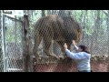The Exotic Feline Rescue Center