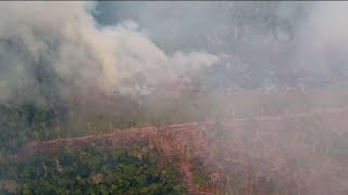 Canada Pledges 15 Million To Fight Amazon Wildfires