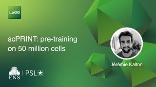 scPRINT: pre-training on 50 million cells allows robust gene network predictions | Jérémie Kalfon