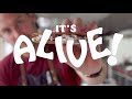 Brad Makes Sourdough Pizzelle Cookies | It's Alive | Bon Appétit