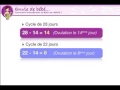 calculer ovulation cycle irregulier