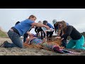 The Mendocino Mermaids Beach Rescue - Help us Keep our Beaches Clean!