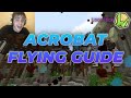 Flying Assassin in Wynncraft 2.0 (Acrobat Guide)