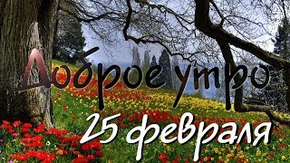 Доброе Утро - Выпуск 91 (25.02.2019)