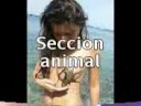 video prihibido por youtube.xxx no apto para menores de edad porno
