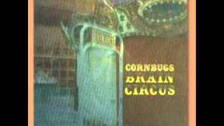 Watch Cornbugs Farmtofork video