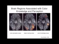 Alfonso Caramazza: Levels of Representation in the Mind/Brain