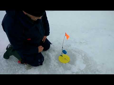 ищем щуку эхолотом видео ищем щуку эхолотом видео